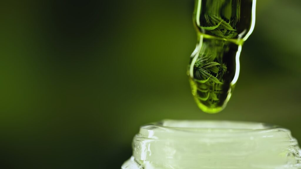 CBD glass bottle, hemp leaves on dark backdrop.Hemp extract.Alternative medicine